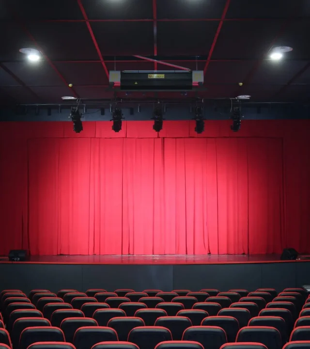elektrovat czk despotovac stage